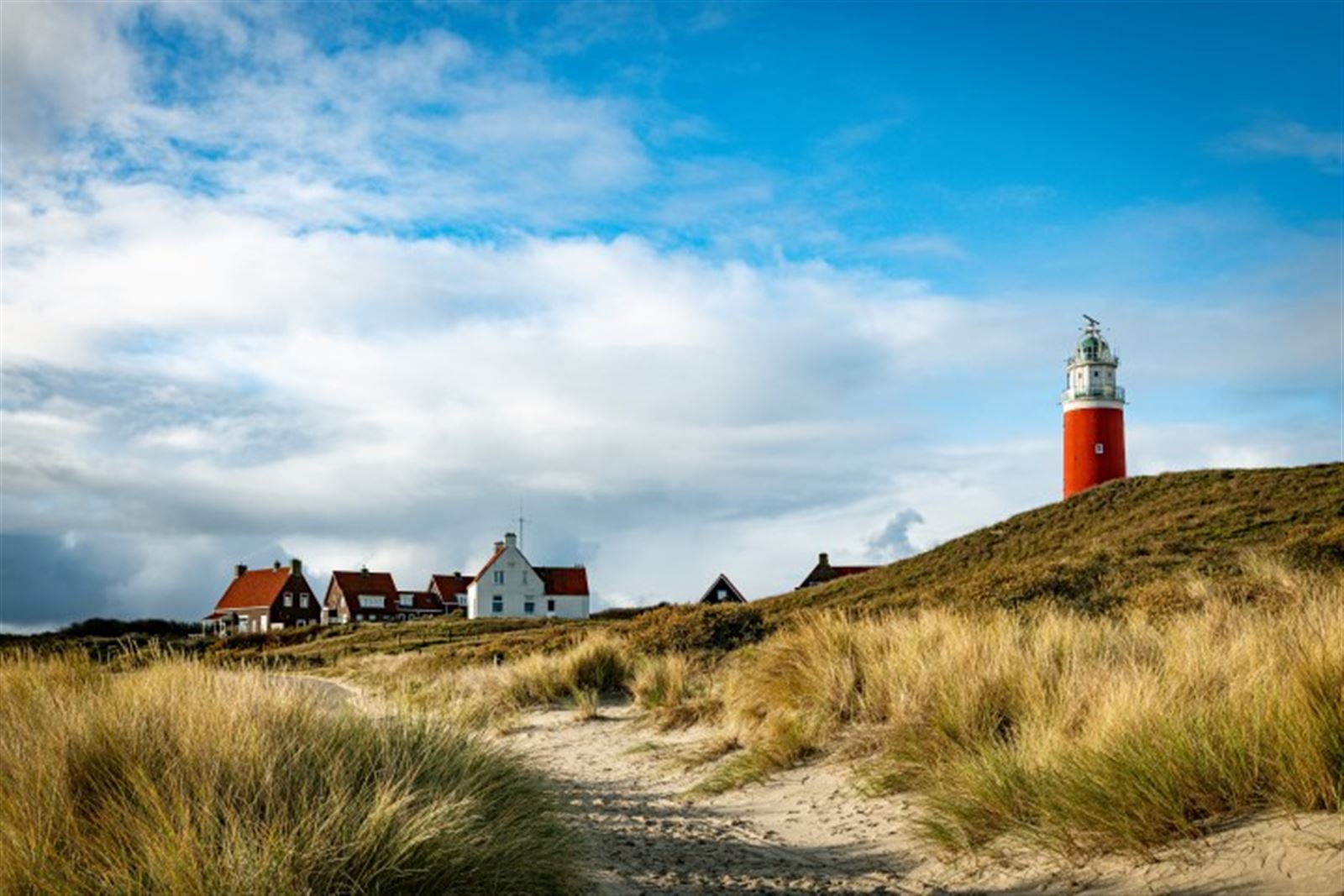 Texel